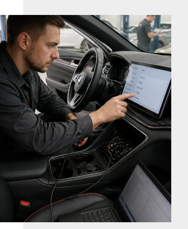 Профессиональная русификация BYD SONG Plus в Советской Гавани
